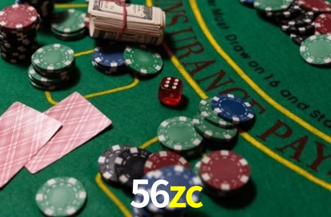 56zc App Interface
